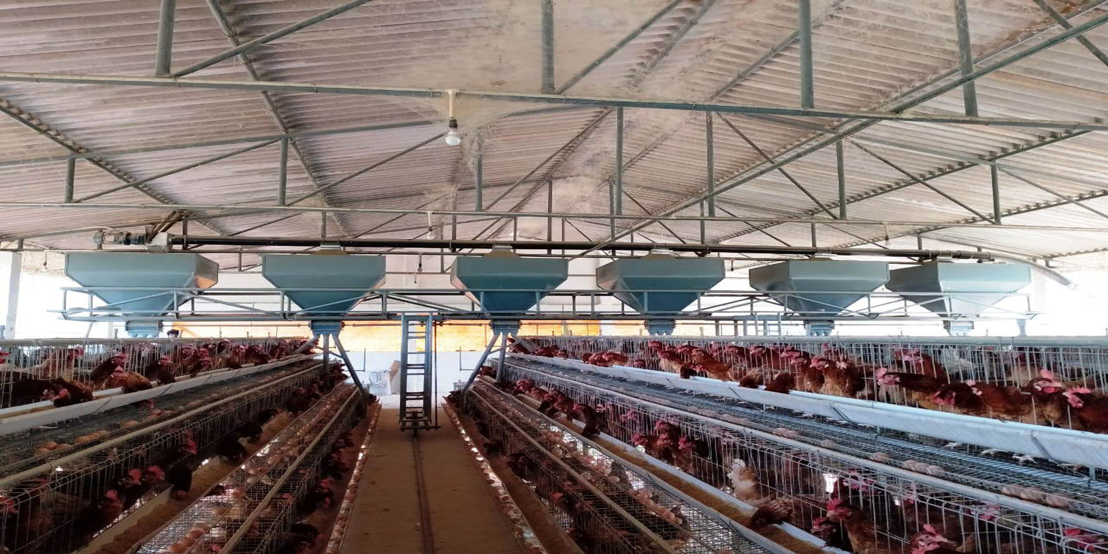 SHED AUTOMATION TROLLEY