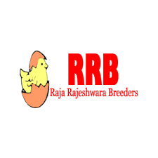 ABHI EGGS LOGO (14)